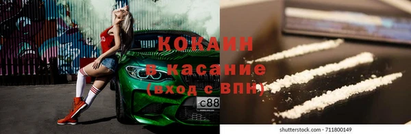 гашик Кулебаки