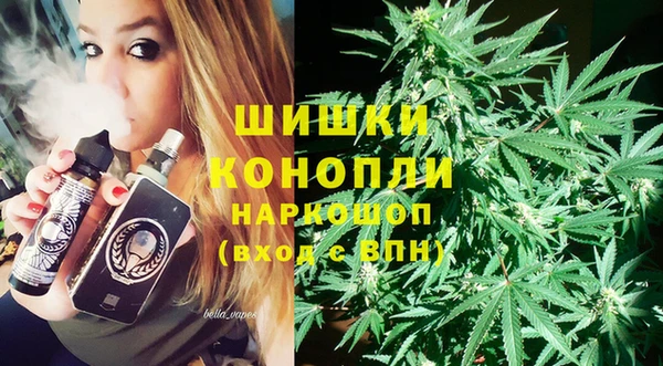 шишки Алагир